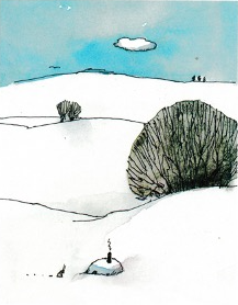 Picture 6